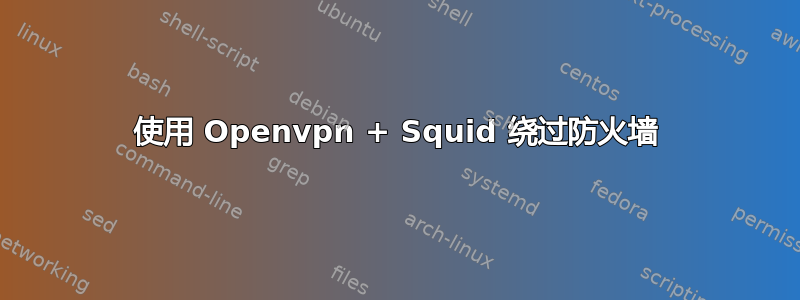 使用 Openvpn + Squid 绕过防火墙