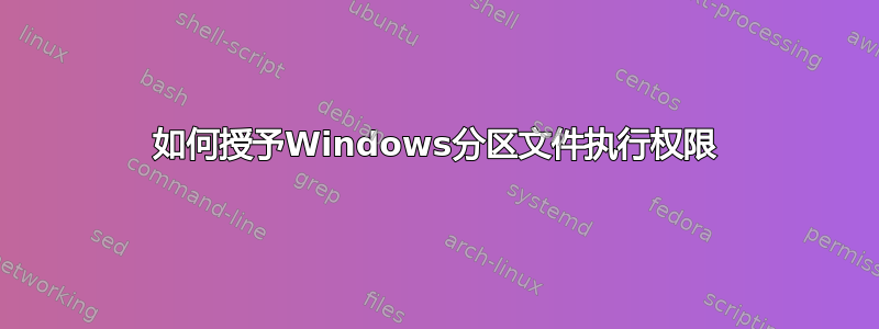 如何授予Windows分区文件执行权限