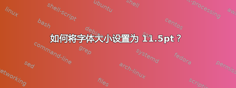 如何将字体大小设置为 11.5pt？