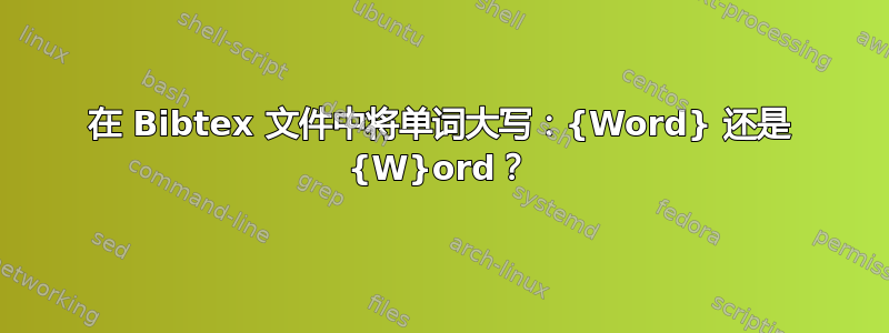 在 Bibtex 文件中将单词大写：{Word} 还是 {W}ord？