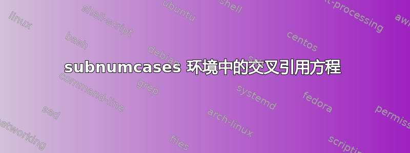 subnumcases 环境中的交叉引用方程