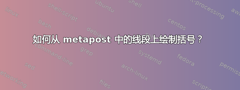 如何从 metapost 中的线段上绘制括号？