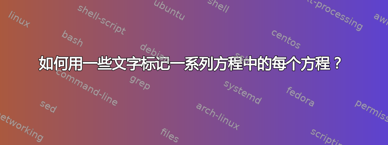 如何用一些文字标记一系列方程中的每个方程？