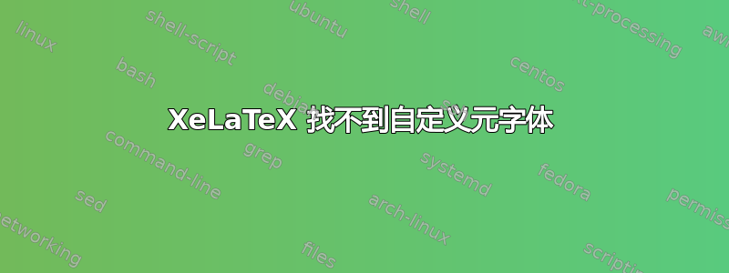 XeLaTeX 找不到自定义元字体