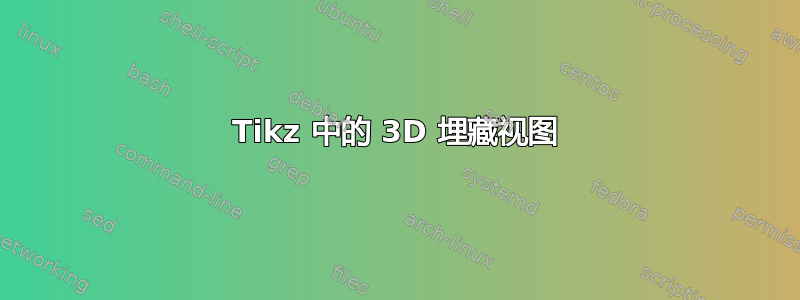 Tikz 中的 3D 埋藏视图