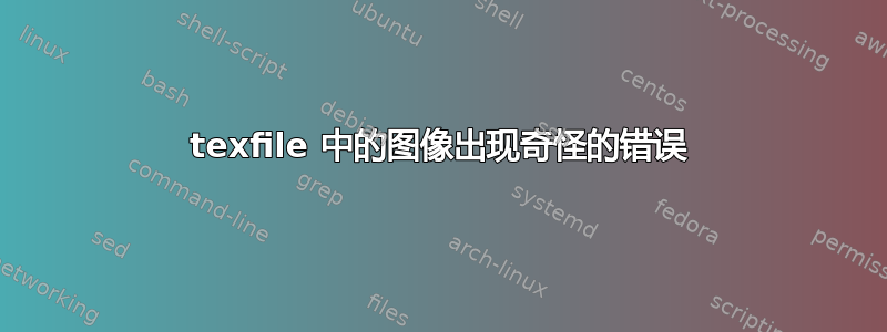 texfile 中的图像出现奇怪的错误