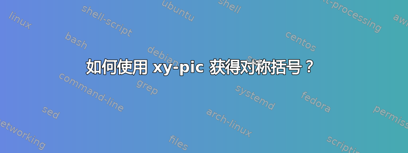 如何使用 xy-pic 获得对称括号？