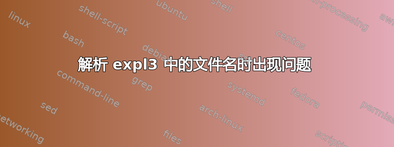 解析 expl3 中的文件名时出现问题