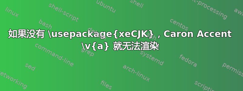 如果没有 \usepackage{xeCJK}，Caron Accent \v{a} 就无法渲染