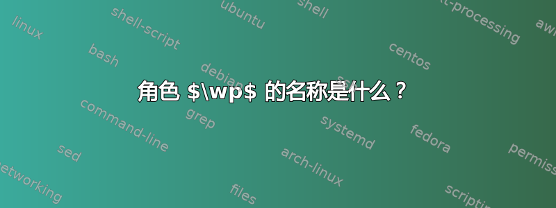 角色 $\wp$ 的名称是什么？