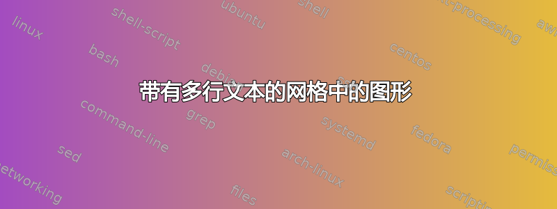 带有多行文本的网格中的图形