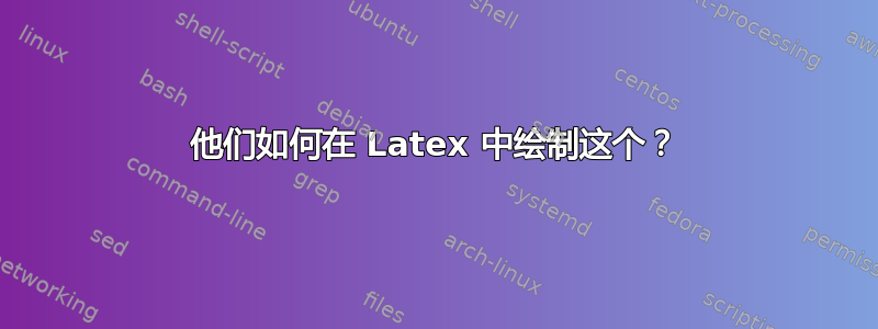 他们如何在 Latex 中绘制这个？