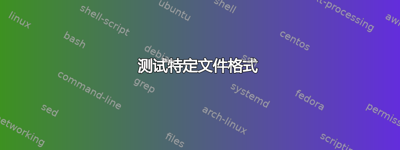 测试特定文件格式