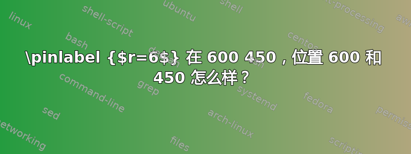 \pinlabel {$r=6$} 在 600 450，位置 600 和 450 怎么样？