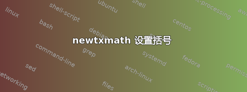 newtxmath 设置括号