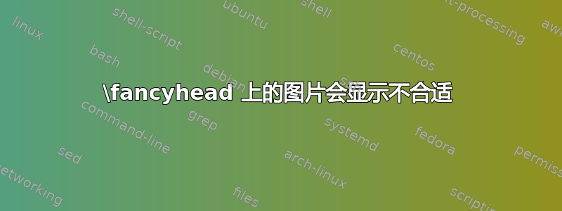 \fancyhead 上的图片会显示不合适