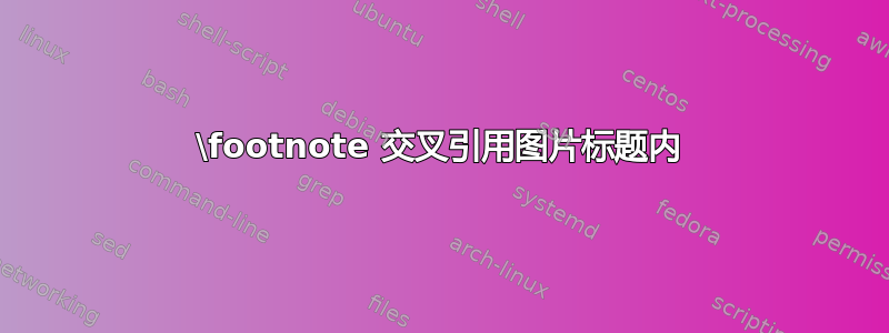 \footnote 交叉引用图片标题内