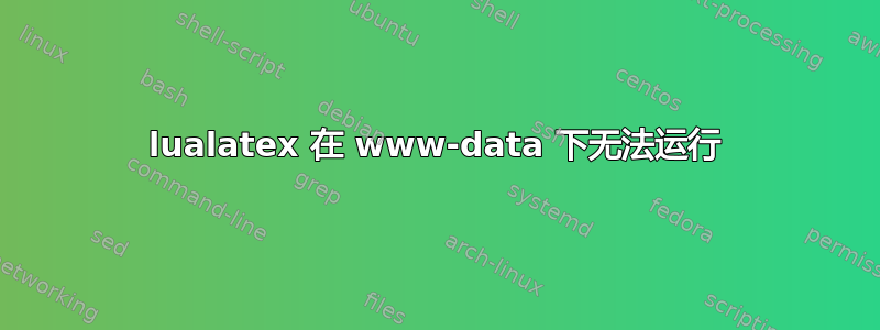 lualatex 在 www-data 下无法运行