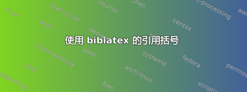 使用 biblatex 的引用括号