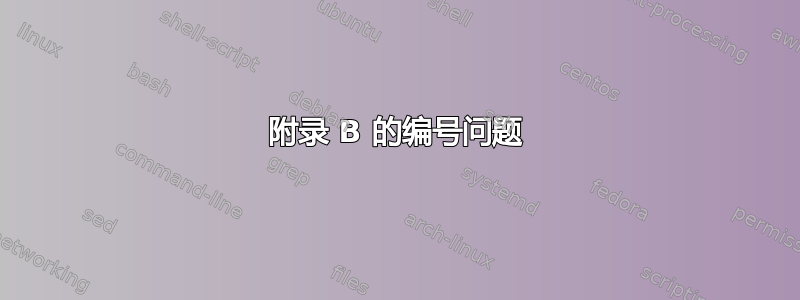 附录 B 的编号问题