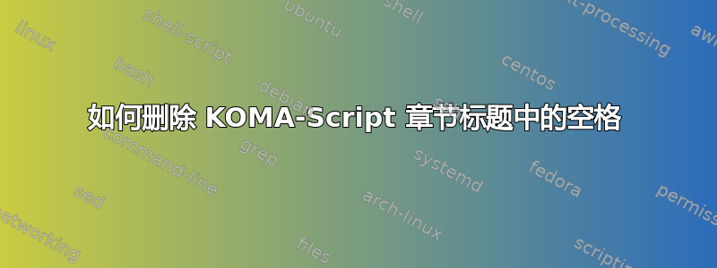 如何删除 KOMA-Script 章节标题中的空格