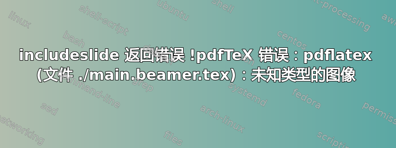 includeslide 返回错误 !pdfTeX 错误：pdflatex (文件 ./main.beamer.tex)：未知类型的图像