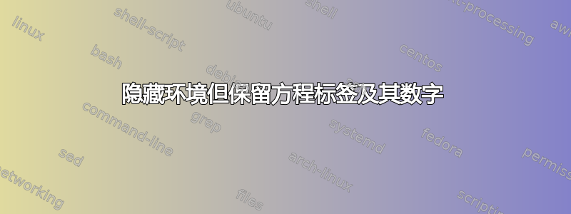 隐藏环境但保留方程标签及其数字