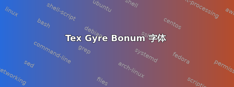 Tex Gyre Bonum 字体