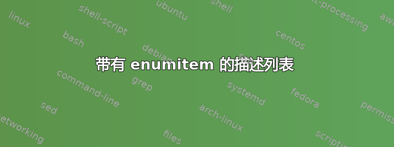 带有 enumitem 的描述列表