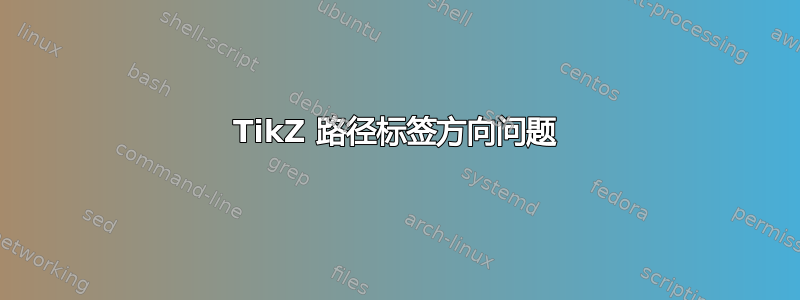 TikZ 路径标签方向问题