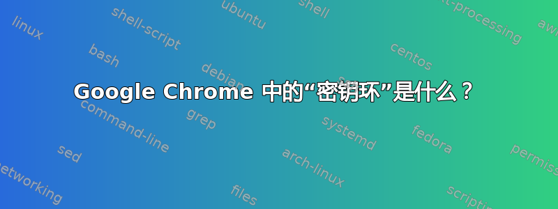 Google Chrome 中的“密钥环”是什么？