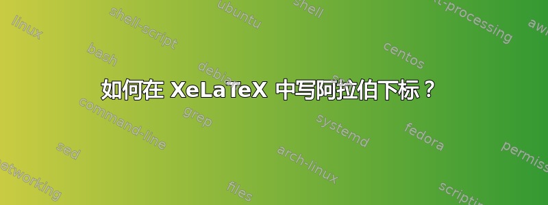 如何在 XeLaTeX 中写阿拉伯下标？