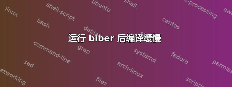 运行 biber 后编译缓慢