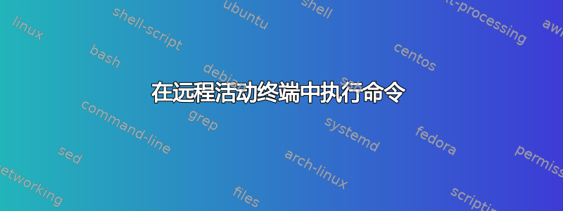 在远程活动终端中执行命令