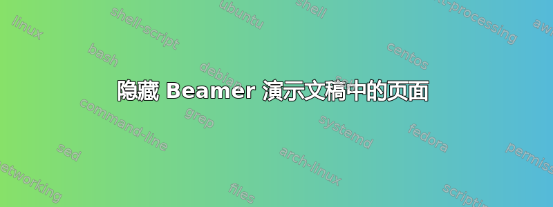 隐藏 Beamer 演示文稿中的页面