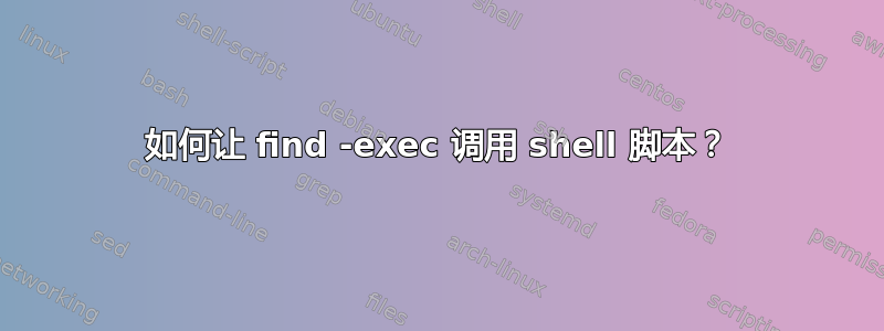 如何让 find -exec 调用 shell 脚本？