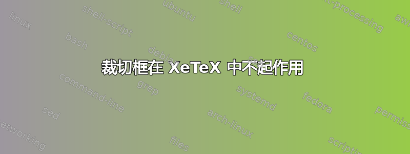 裁切框在 XeTeX 中不起作用