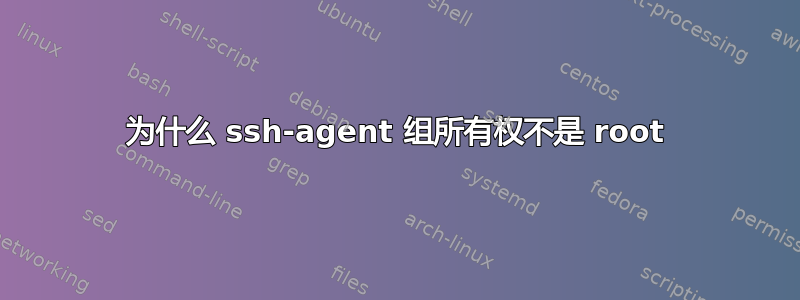 为什么 ssh-agent 组所有权不是 root