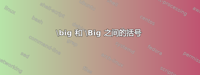 \big 和 \Big 之间的括号