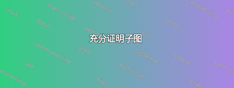 充分证明子图