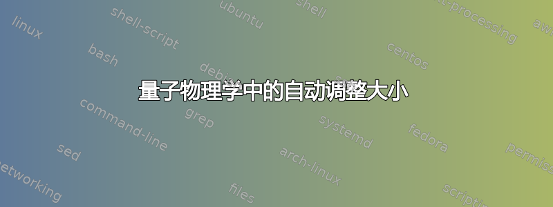 量子物理学中的自动调整大小