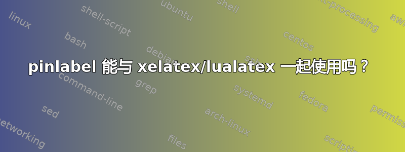 pinlabel 能与 xelatex/lualatex 一起使用吗？