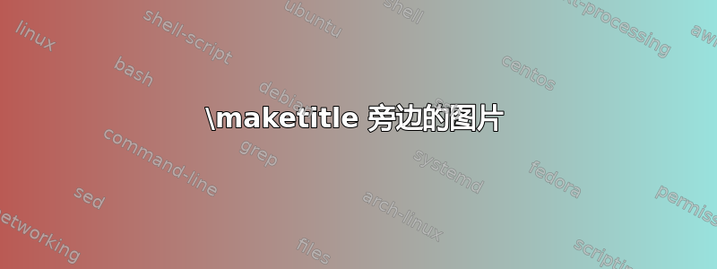 \maketitle 旁边的图片