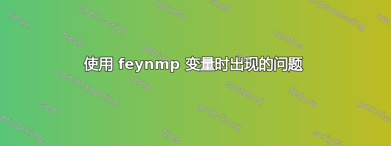 使用 feynmp 变量时出现的问题