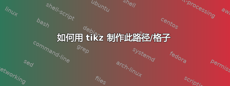 如何用 tikz 制作此路径/格子