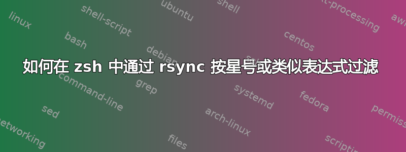 如何在 zsh 中通过 rsync 按星号或类似表达式过滤