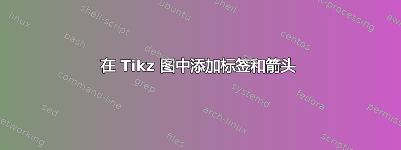 在 Tikz 图中添加标签和箭头