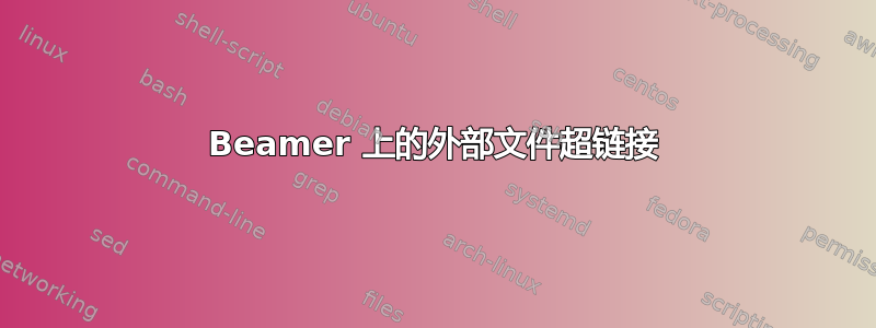 Beamer 上的外部文件超链接