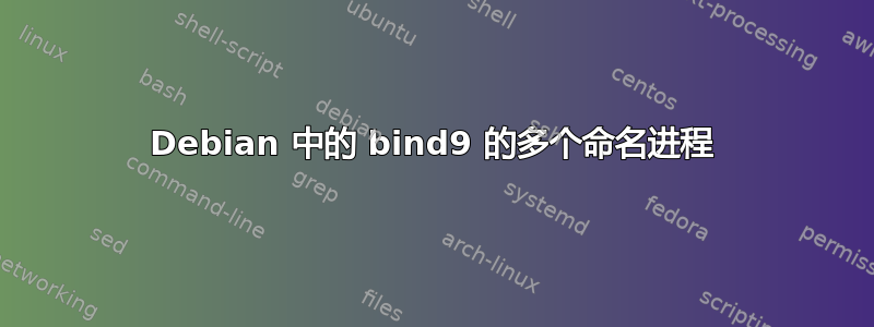 Debian 中的 bind9 的多个命名进程