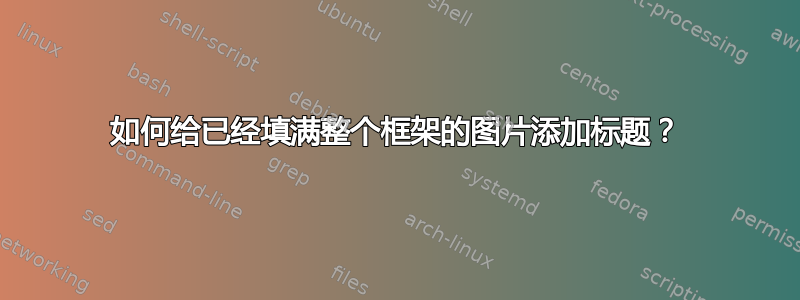 如何给已经填满整个框架的图片添加标题？